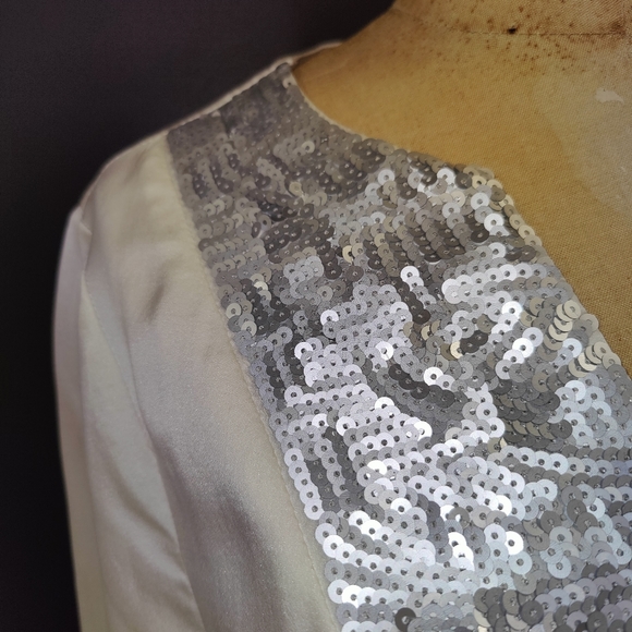 Julie Brown Silk Tunic with Embellished Silver Sequin V-neck - Size 6 - Picture 3 of 13
